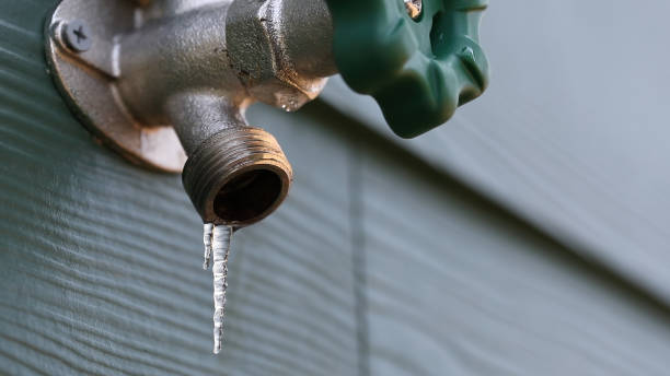 Best Local Plumber Services  in Boston, MA